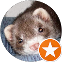 Irene Ponce profile picture